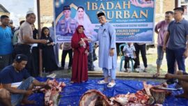 Polres Sidrap Berkurban 11 Ekor Sapi